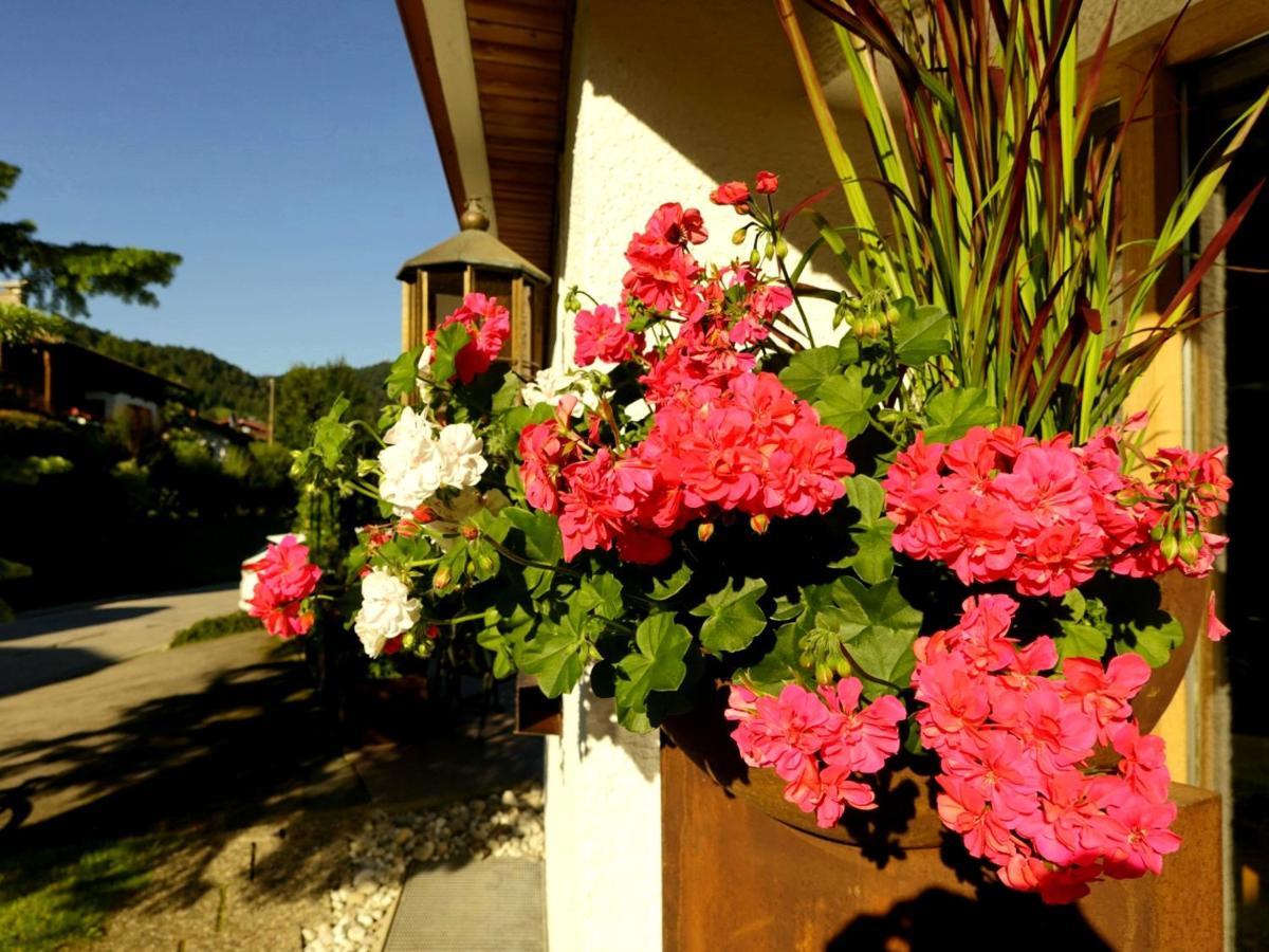 Hotel Bichlhof ريت ام وينكل المظهر الخارجي الصورة